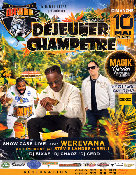 Dejeuner ChampÊtre Dawbo Futsal Vol.2