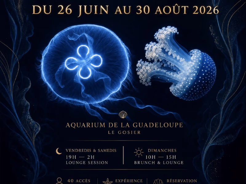 Palm & Pearl – Escale Europe - 24 juillet 2026 - Aquarium de la Guadeloupe, Le Gosier