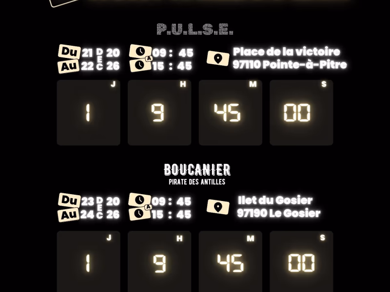 P.U.L.S.E - 21 décembre 2026 - Place de la victoire, Pointe-à-Pitre
