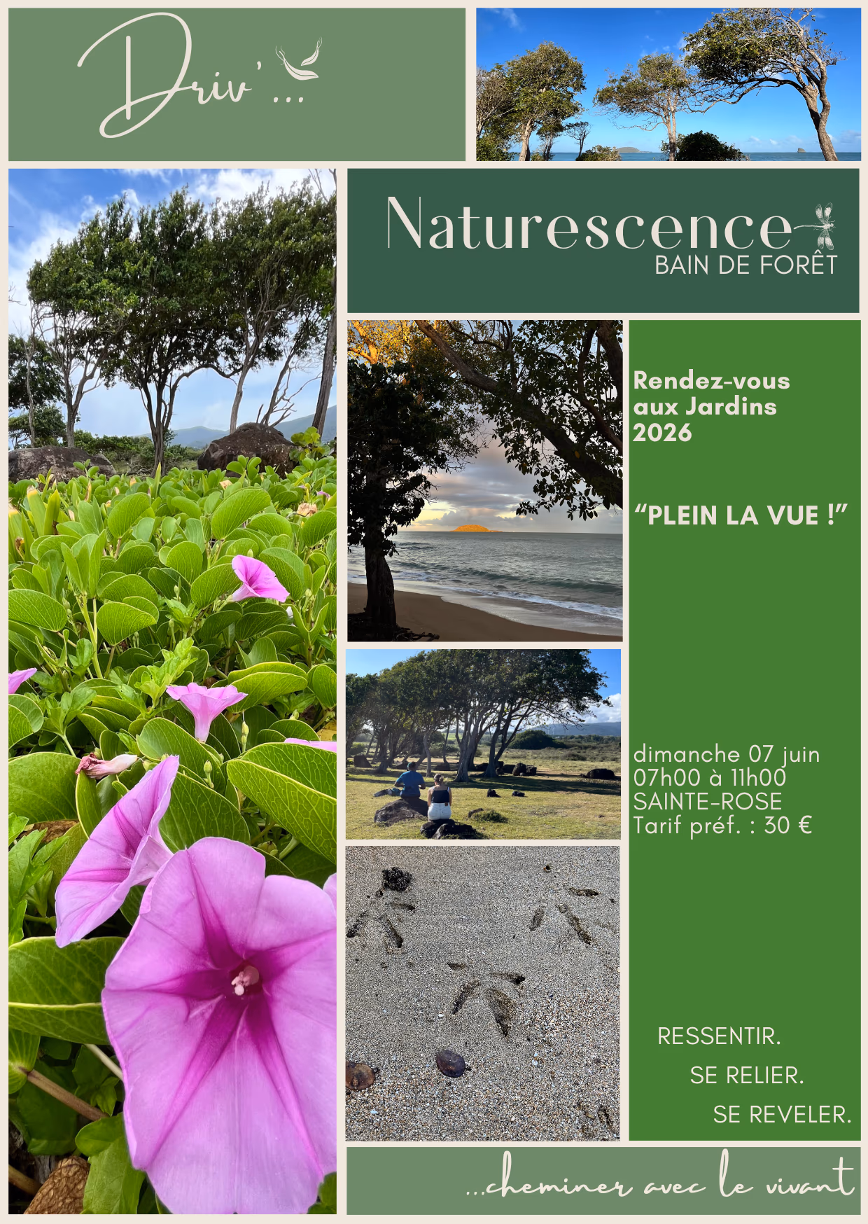 Bain de forêt "Plein la vue !" - 7 juin 2026 - Littoral de Sainte-Rose, Sainte-Rose