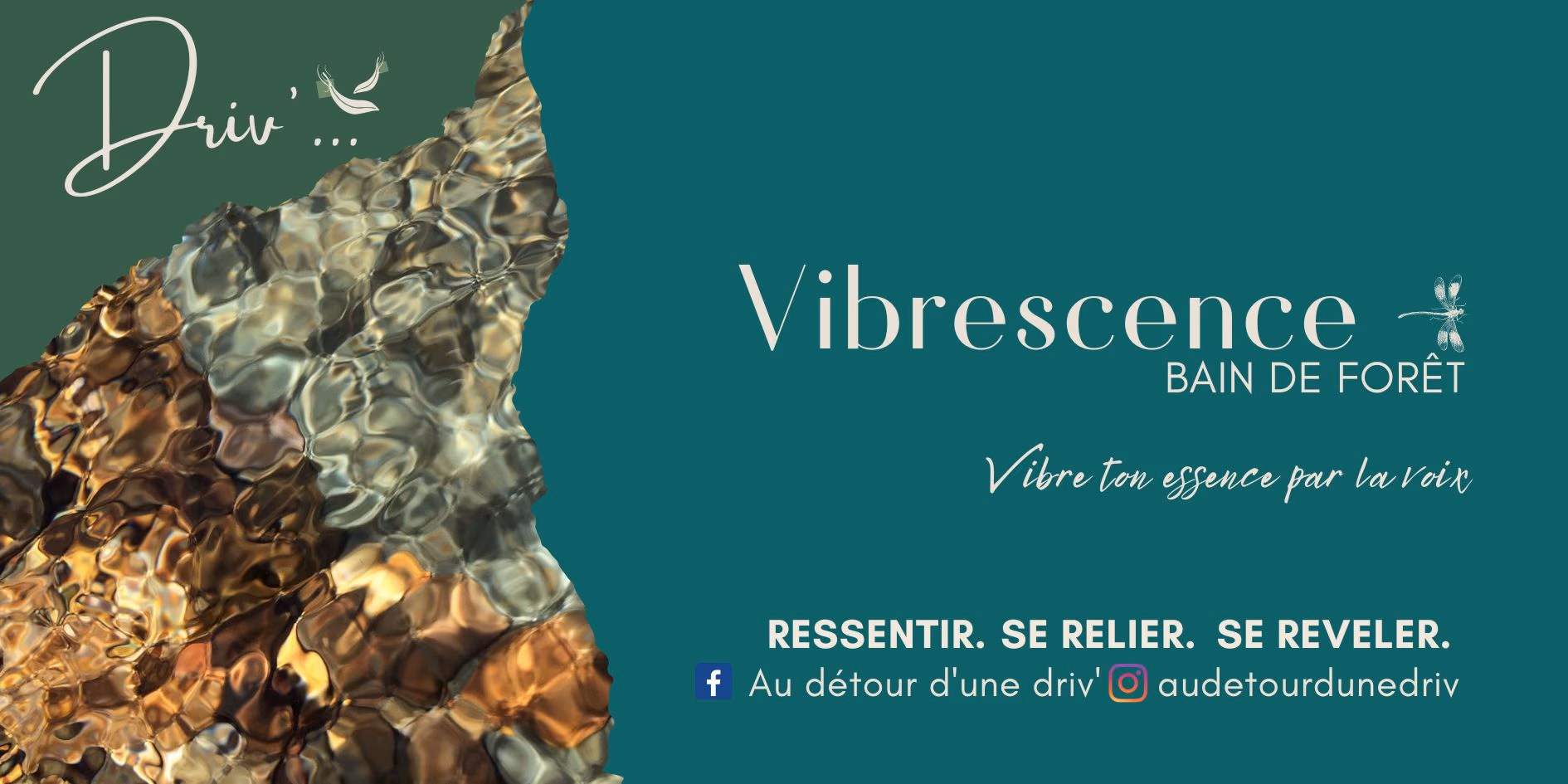 Vibrescence, bain de forêt et voix, à Petit-Canal - 12 août 2026 - Site de Poyen, Petit-Canal