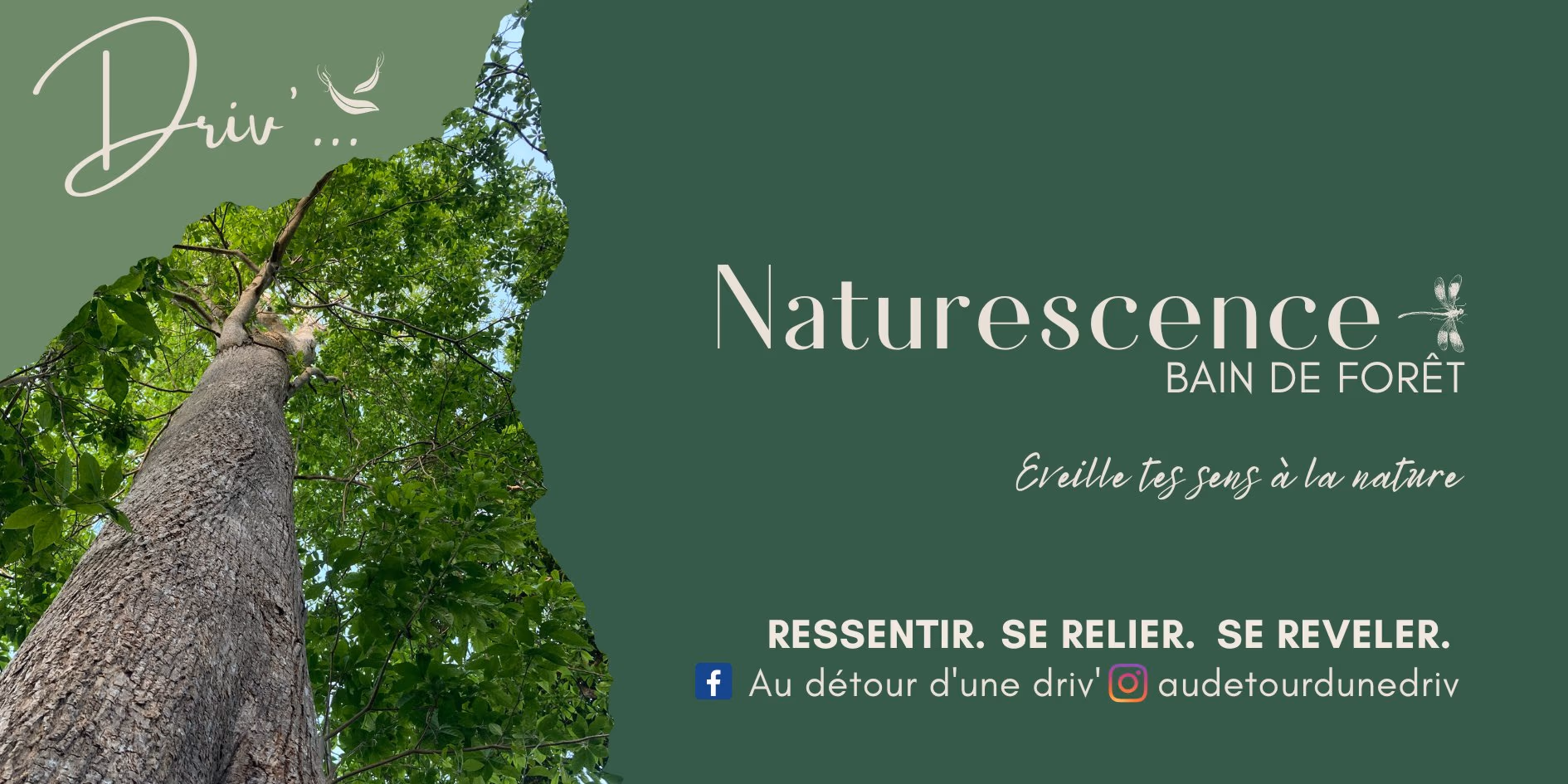 Naturescence, bain de forêt à Trois-Rivières - 12 septembre 2026 - Parking de la Coulisse, Trois-Rivières