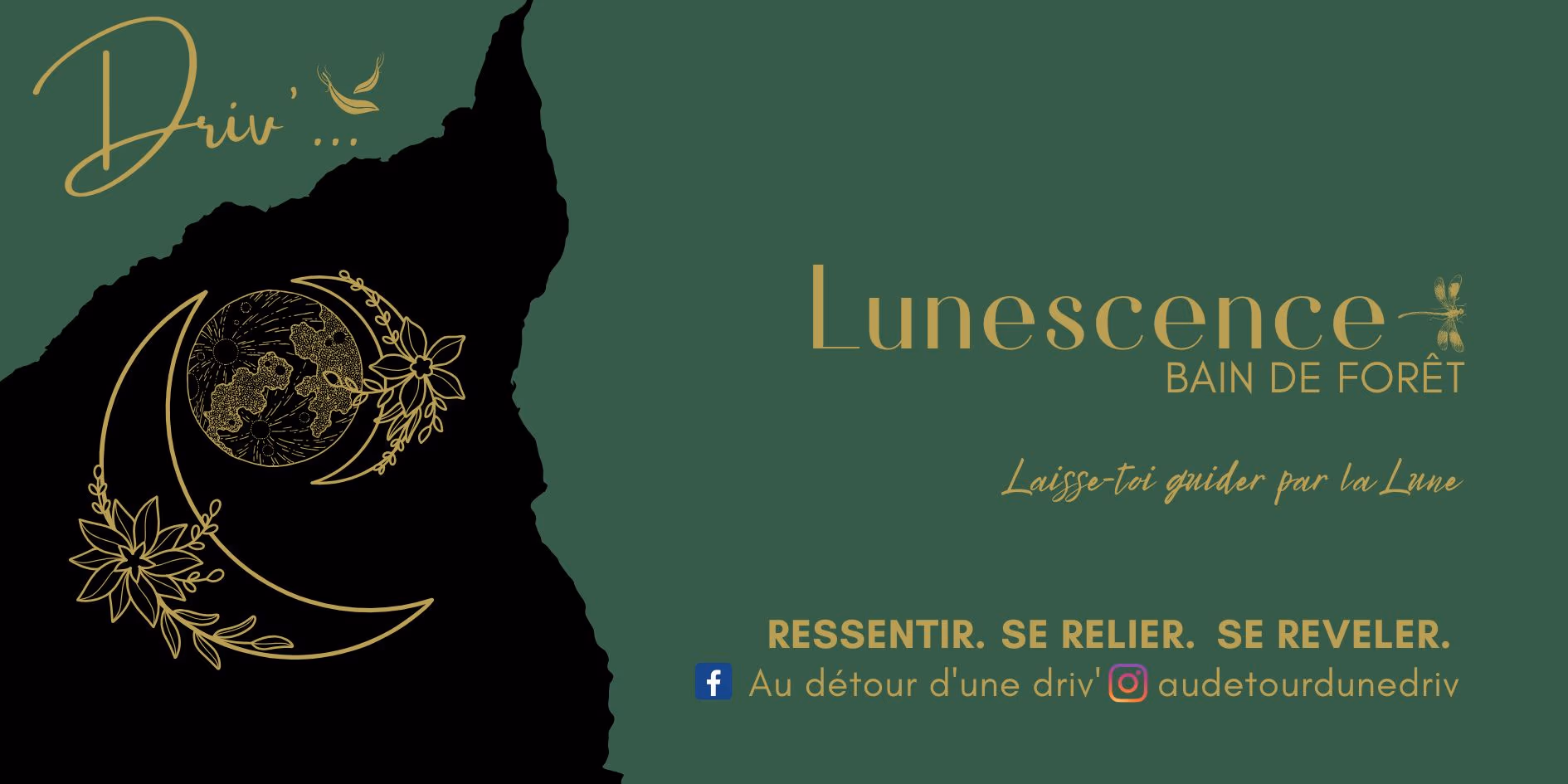 Lunescence, bain de forêt nocturne à Bouillante - 26 septembre 2026 - Parking du restaurant Ô Z'épices, Bouillante
