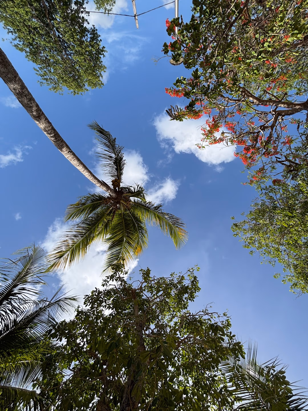 Sunrise Yoga 19/07 âą Gosier - 19 juillet 2026 - Guadeloupe, Guadeloupe